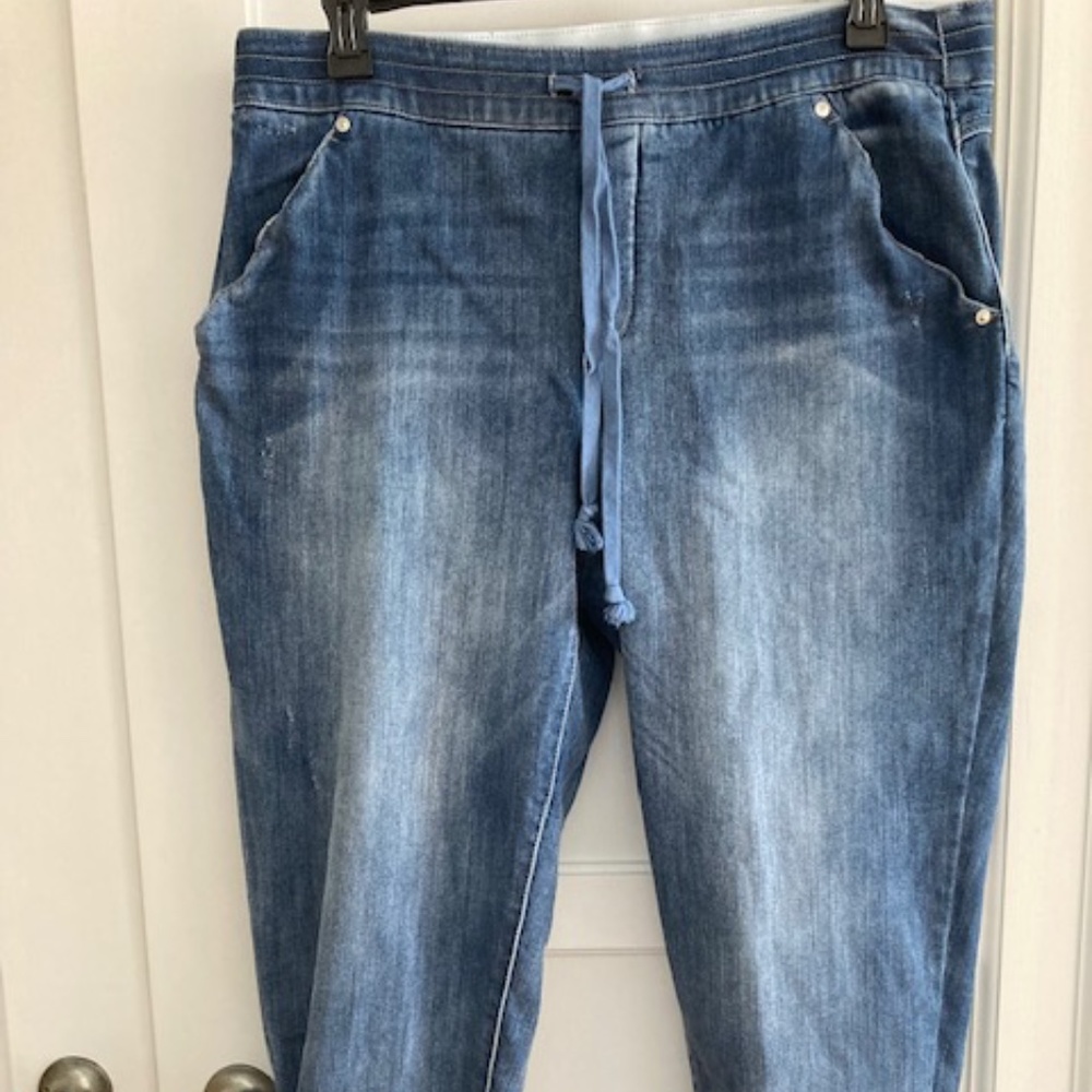 NWOT Democracy "Ab"leisure® Pull-On High-Rise Denim Jogger Size 18W